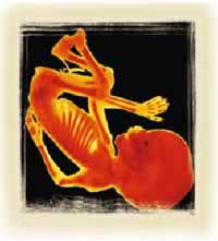 The bones of the baby are clothed with flesh during one particular stage