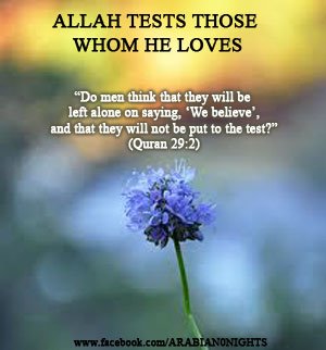 I want to renew my faith in Allah | IslamicAnswers.com: Islamic Advice