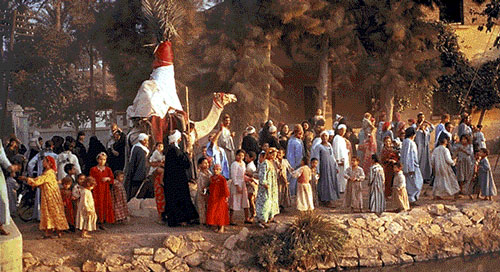 Islamic wedding procession at a traditional Egyptian wedding Islamic wedding procession at a traditional Egyptian wedding