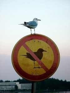 break-the-rules