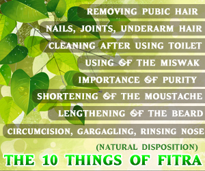 Questions Regarding Shaving the Pubic Hair : Islamic Advice Questions Regarding Shaving the Pubic Hair : Islamic Advice