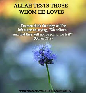 Allah Tests who He Loves