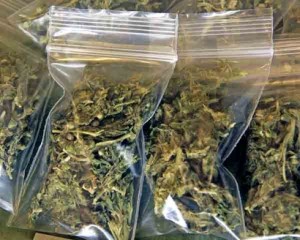 Bags of marijuana, pot, weed, cannabis, drugs.