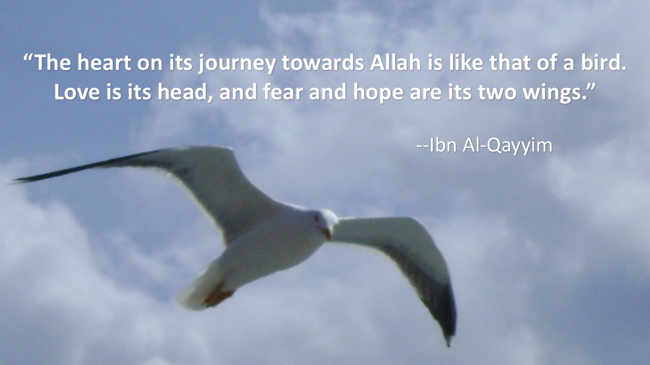 Ibn-Al-Qayyim-Fear-and-Hope