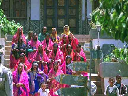 The bride's wedding party